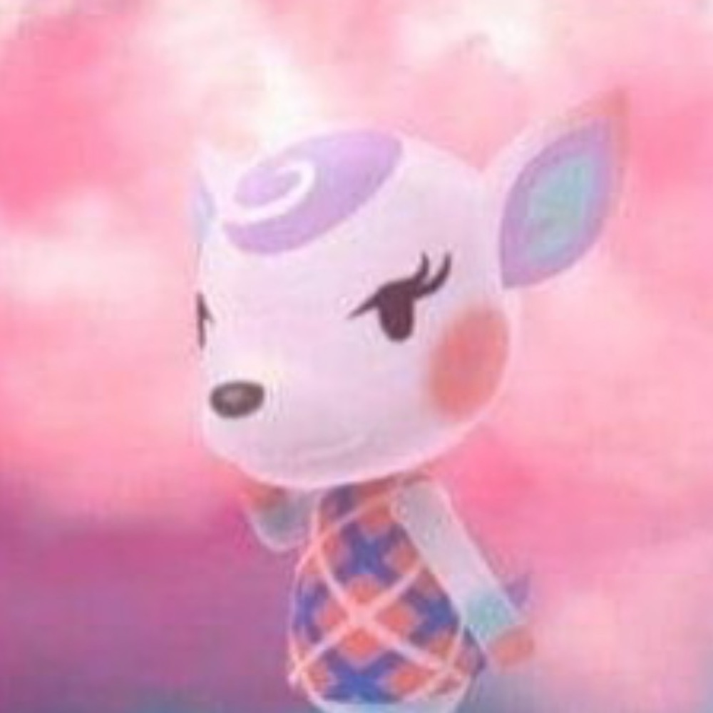 Meet your Posher, Rosie